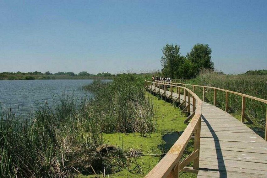 A varázslatos Tisza-tó