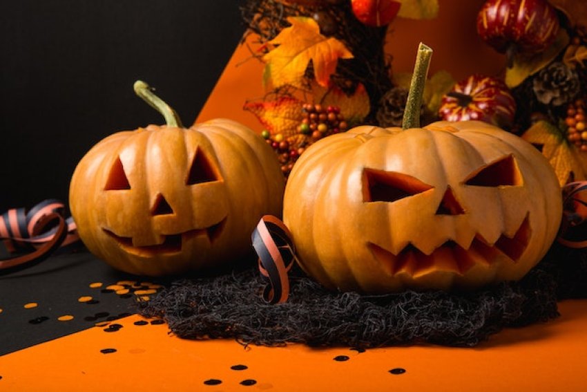 Halloweeni programokkal várja a látogatókat a Fővárosi Állatkert péntek este