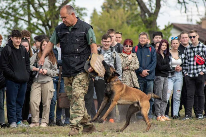 Újra katonai logisztikai bemutatónapot szerveztek