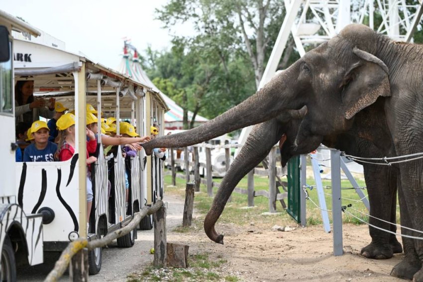 Húsvétkor nyít a Richter Safari Park