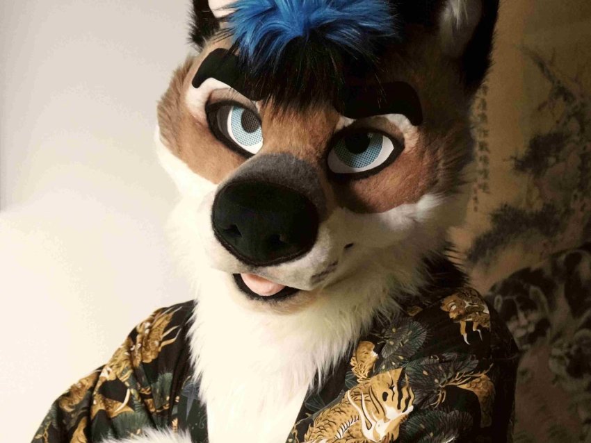 Így lesz a magányos farkasból közösségépítő mentor