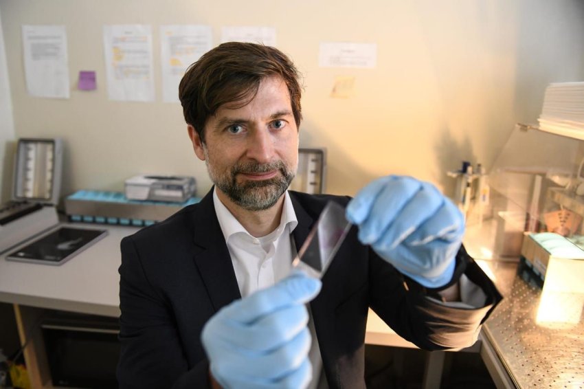 Nemzetközi céggé válik a magyar onkológiai úttörő