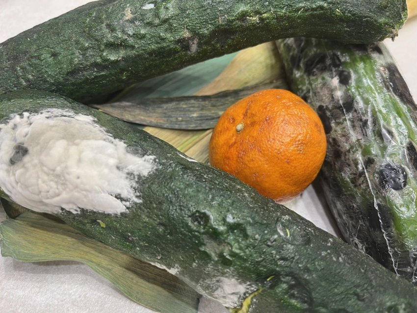 Az élelmiszerpazarlás divat téma, de mit tehetünk a mindennapokban ellene?