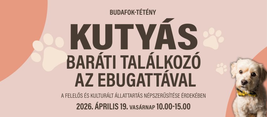 Kutyás piknik, szakértői programok és jótékonyság egy helyen