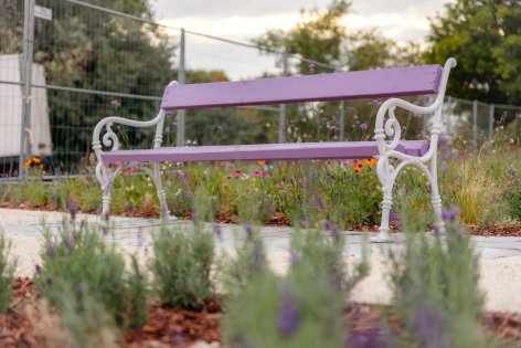 Már látogatható Budapest első levendulaparkja