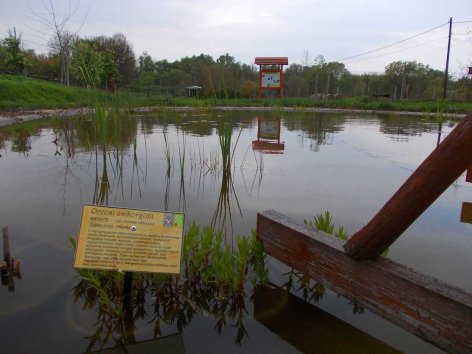 Föngyöskert-Gyógynövény park