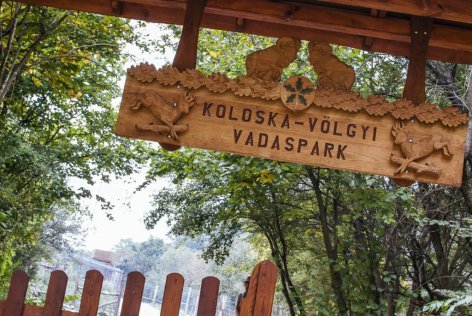 Balatonfüred, Koloska-völgyi Vadaspark