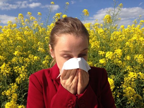 Augusztusi allergiaszezon