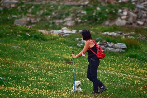 Ingyenes Nordic Walking Móron