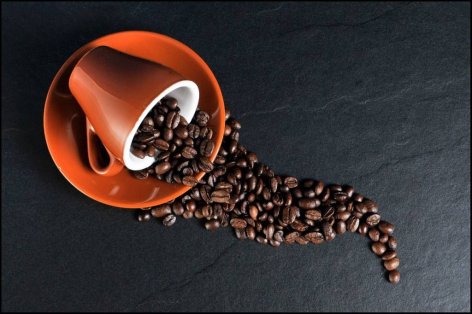 Michelin-csillaggal felérő elismerést kapott a magyar kávépörkölő üzem