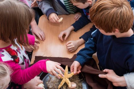 Tíz éve nem vonzott olyan sok elsőhelyes jelentkezőt a tanító szak, mint az idei felvételin