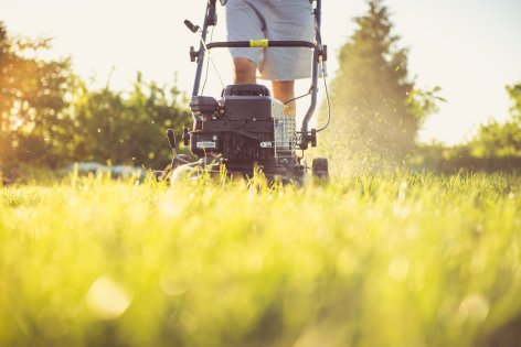 Tavaszi pázsitgondozás – A zöld gyep titka a tavaszi reggeleken kezdődik