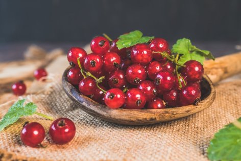 Házi ribizli szörp recept