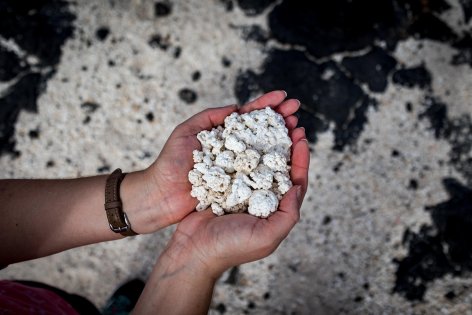 Popcorn Beach Fuerteventura – a Kanári-szigetek legkülönlegesebb strandja