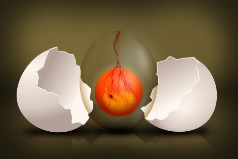 Állatvilág 2025 – új fajok, feltámadó élőlények és a természet jövője