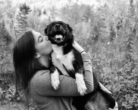 5 hasznos tipp, mielőtt karácsonyra kutyát ajándékoznál