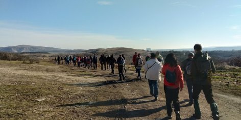 Palotai Zimankó-túra