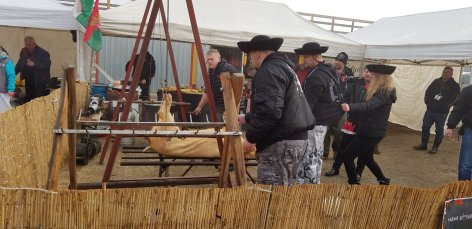 Februárban újra életre kel a népszerű Kakucsi Böllérfesztivál