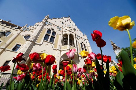 Elindult a jelentkezés a 33. Virágos Magyarország versenyre