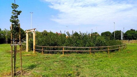 Magyarország első Miyawaki-minierdő konferenciáját rendezi meg a 10 millió Fa