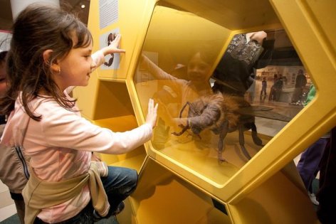Egy magyar grafikusművész Kanadából épít kulturális hidakat