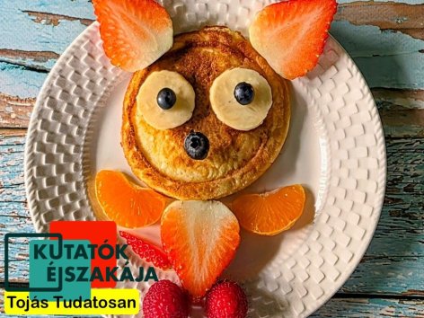 Szeptember 25. este a Kutatók Éjszakáján: Tojást Tudatosan …avagy tények és tévhitek a tojásról