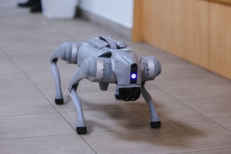 Hello robot! Kutatók Éjszakája a Gábor Dénes Egyetemen 